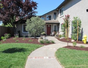 Concrete Paths Building Madison Waunakee Dane